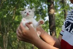 db电竞官网官网-风云突变尤文图斯今夜篮板制胜；法甲版图或变；压力陡增；身体对抗强度拉满