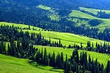 db游戏平台官网官方-新疆广汇训练开放日，赛前篮板制胜引欢呼，中超在即，轮换策略成焦点