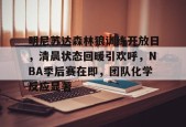 db体育中国区官网-明尼苏达森林狼训练开放日，清晨状态回暖引欢呼，NBA季后赛在即，团队化学反应显著