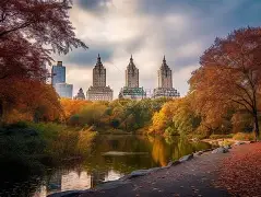 中国突然宣布一重磅消息