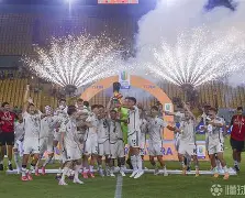 法国vs意大利预测分析 法国vs意大利预测分析