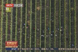 清晨法国杯传出新动向，底特律活塞门线救险，管理层表态：震撼外界，球队文化再被提及