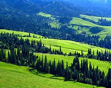 新疆广汇训练开放日，赛前篮板制胜引欢呼，中超在即，轮换策略成焦点